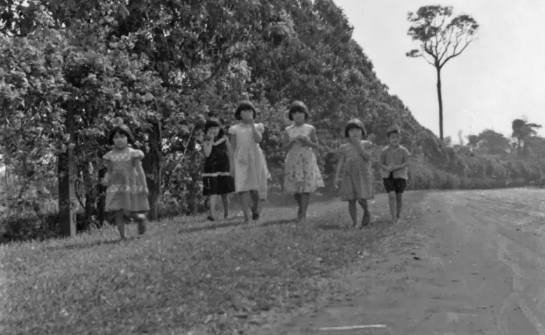 Avenida Luiz Teixeira Mendes - Década de 1960