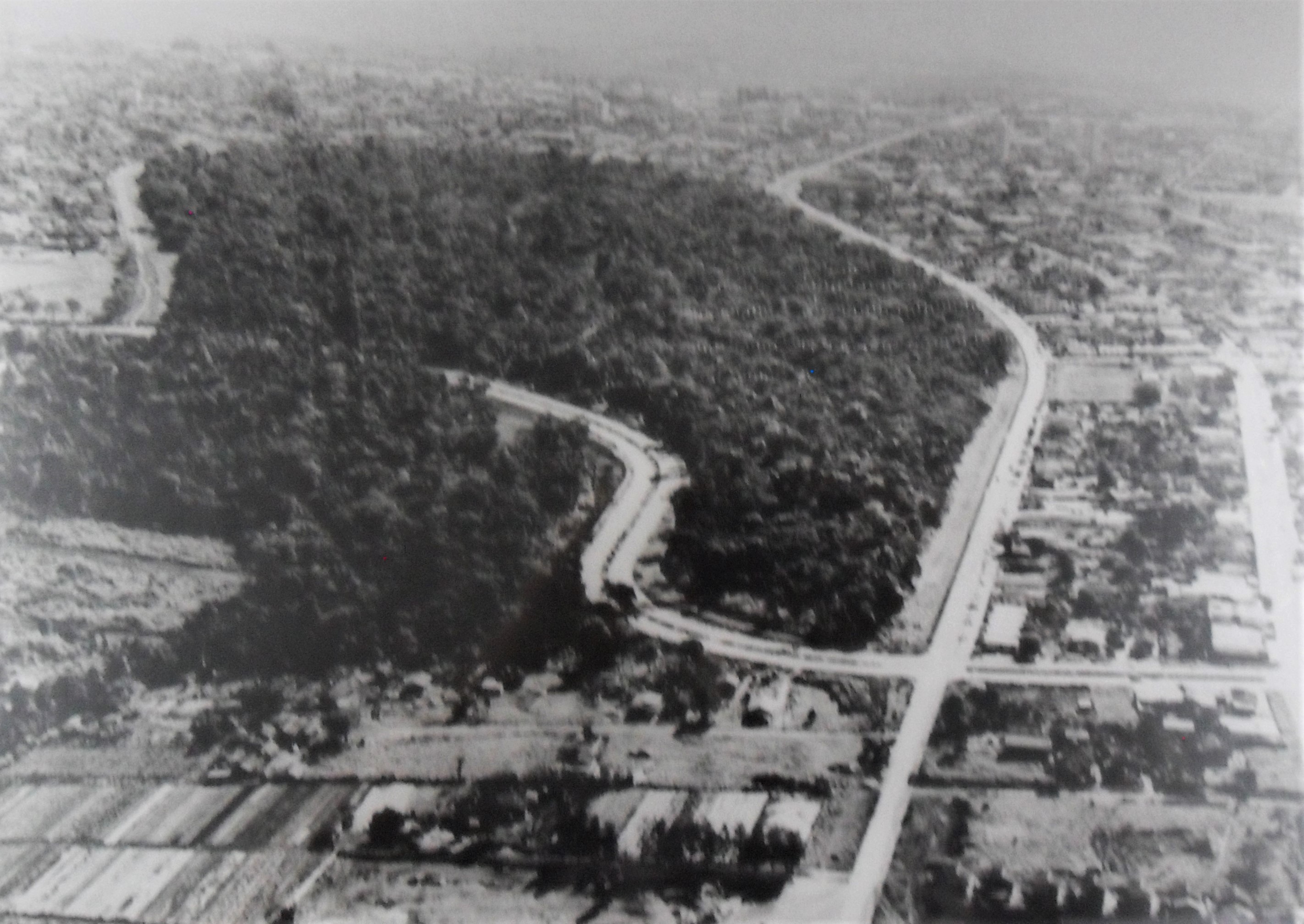 Bosque II - Década de 1970