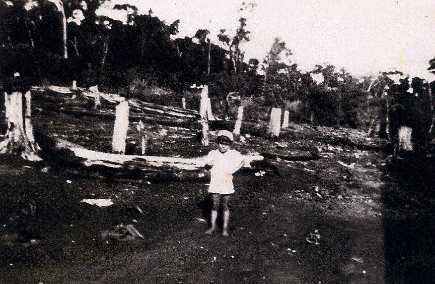 Alcides Siqueira - 1951