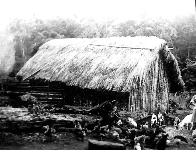 Casa primitiva na região de Maringá - 1942