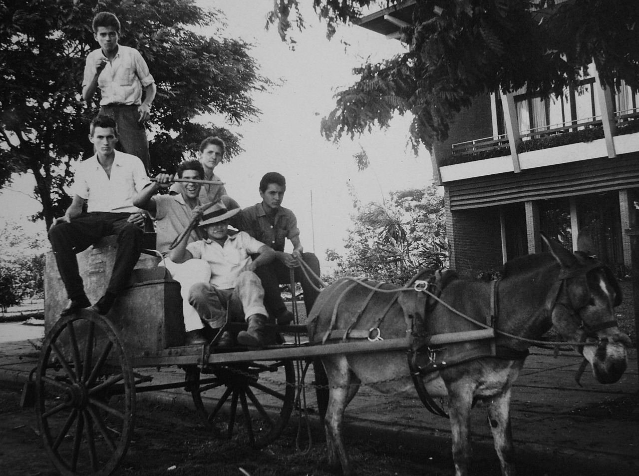 Bucheiro em frente ao Grande Hotel Maringá - 1958