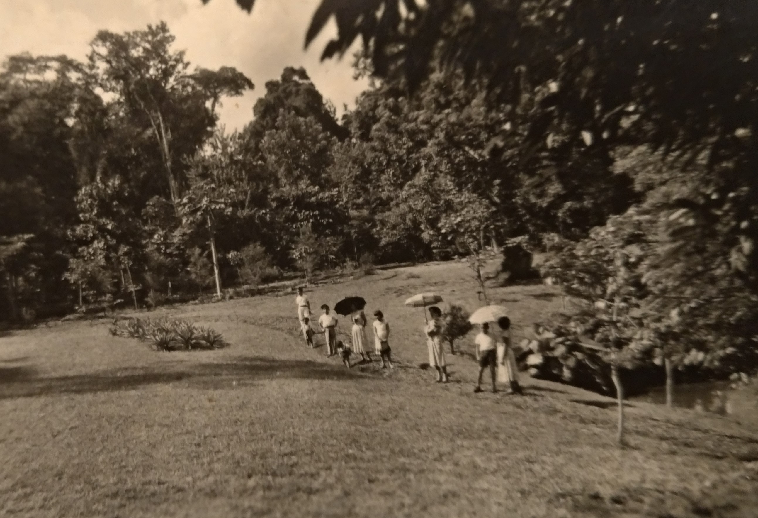 Visitantes no Horto Florestal - Anos 1950