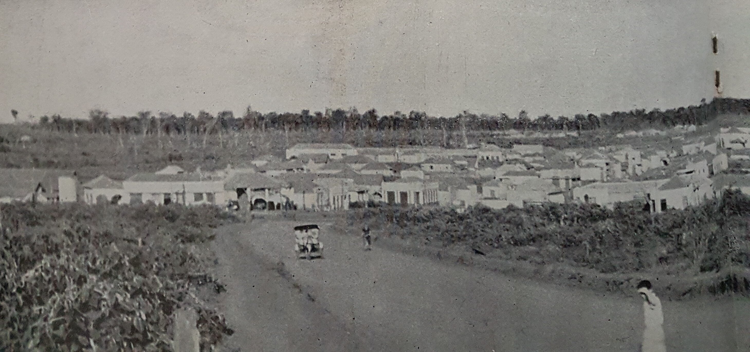 Avenida Brasil, entre Maringá Velho e Maringá Novo - 1950