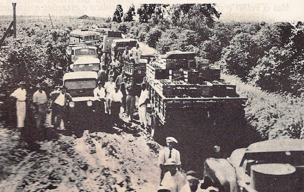 Estrada de Marialva a Maringá - Década de 1950