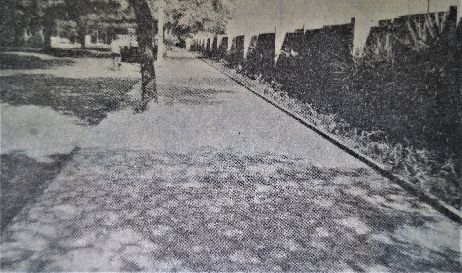 Avenida Tamandaré - 1985