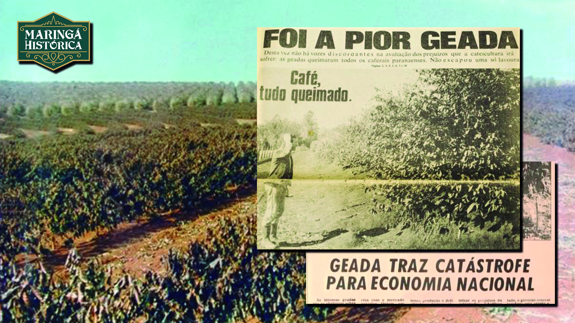 Geada Negra de 1975