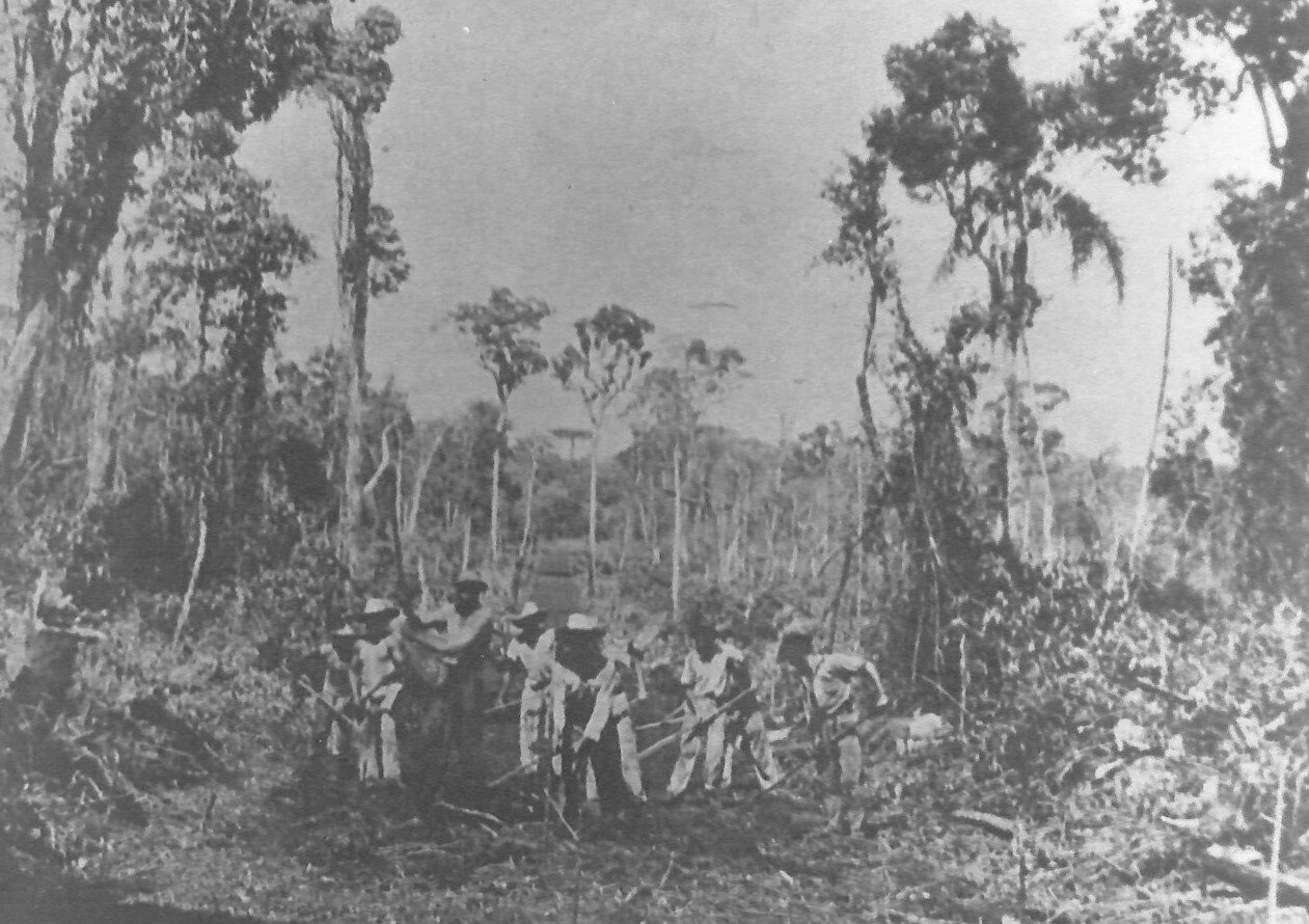 Trabalhadores na abertura da mata - 1939