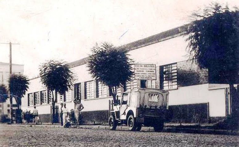 Primeiras árvores plantadas - 1955