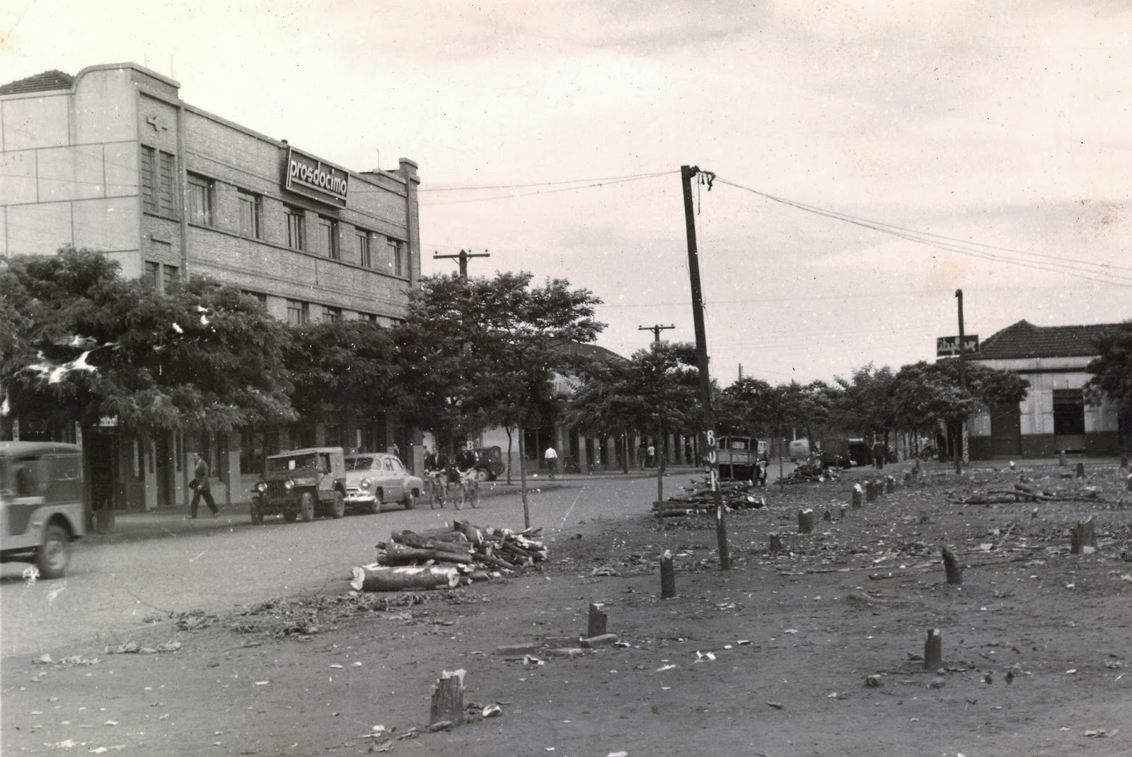 O que restou do Bosque das Essências - 1959