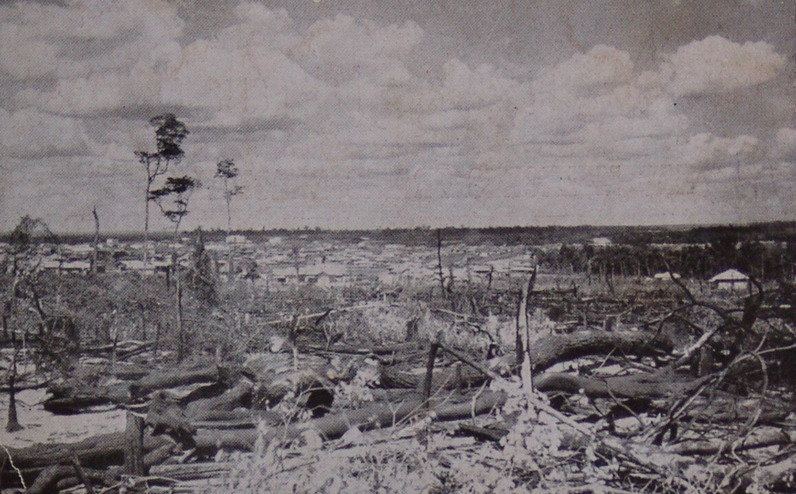 Derrubada da mata - 1952
