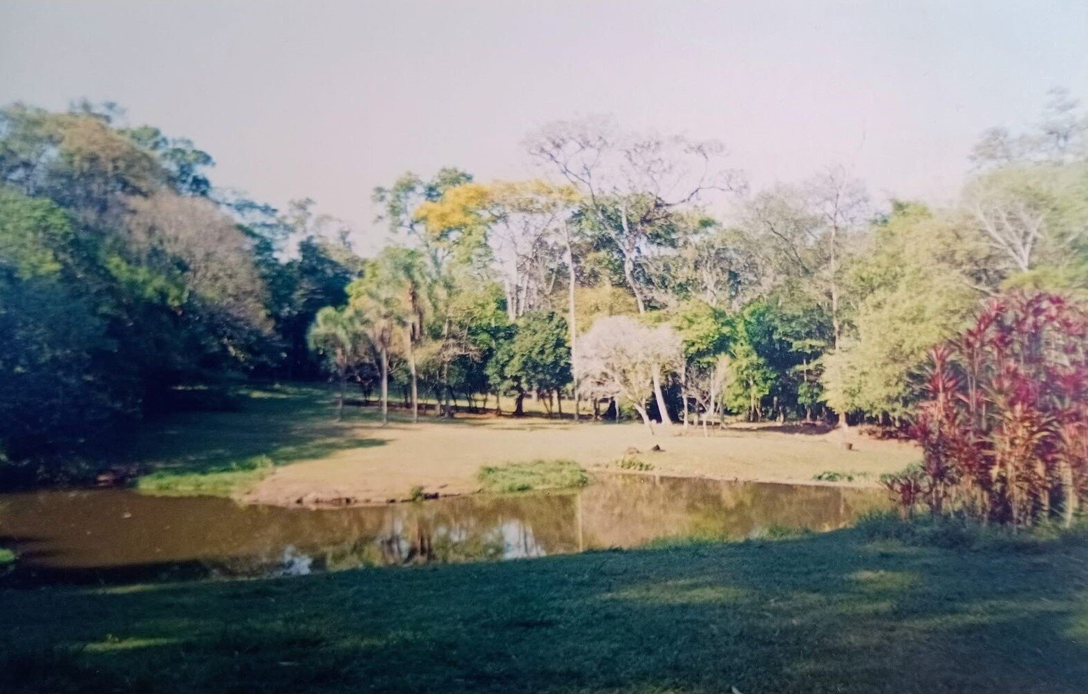 Lago do Horto Florestal - Início dos anos 1990