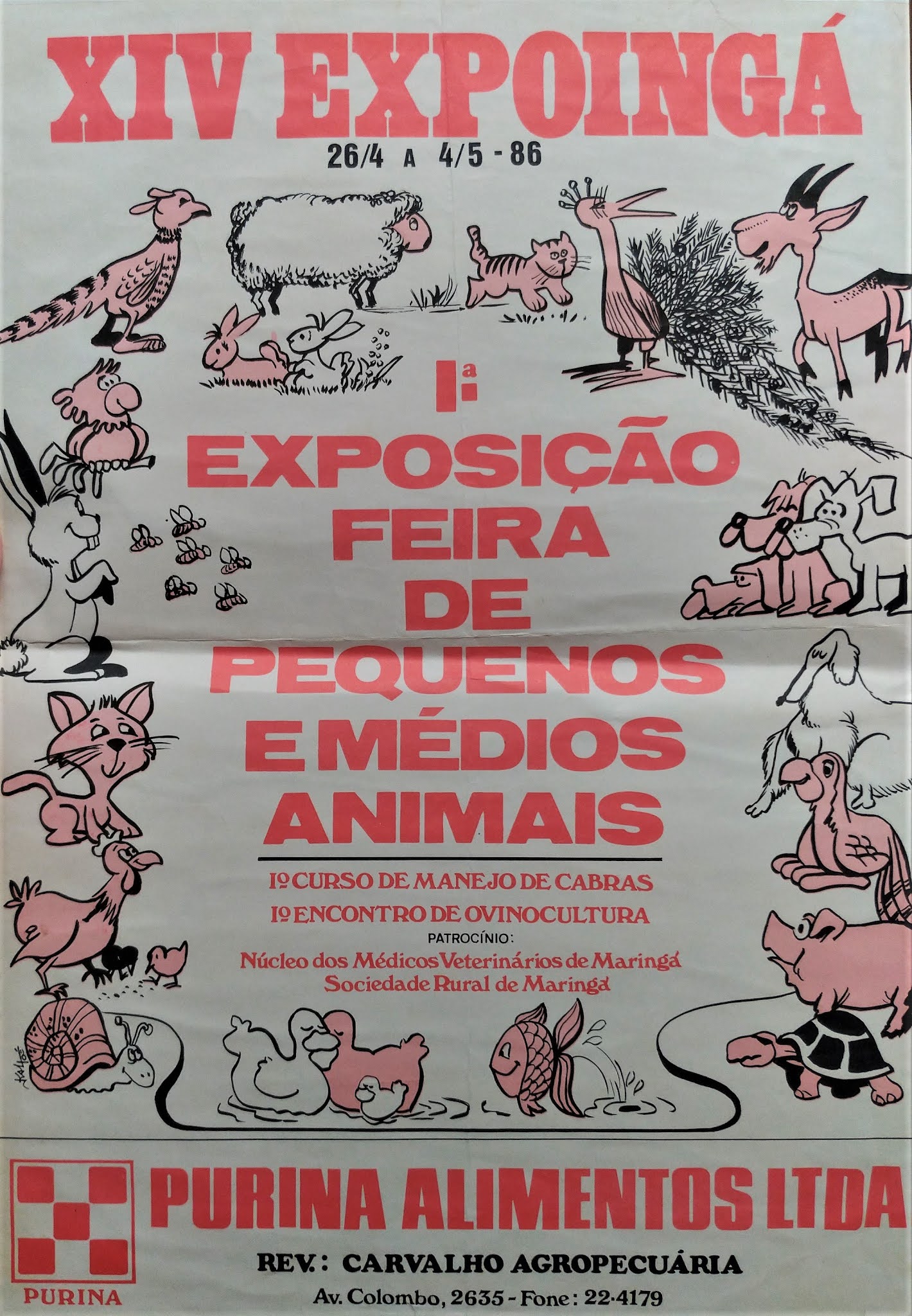 1ª Feira de Pequenos e Médios Animais da EXPOINGÁ - 1986