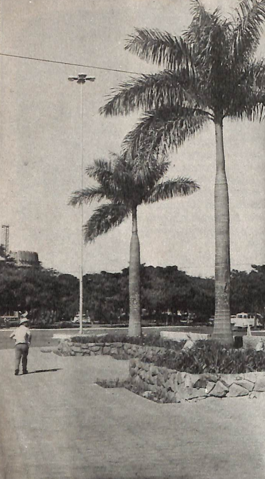 Avenida Getúlio Vargas - 1971