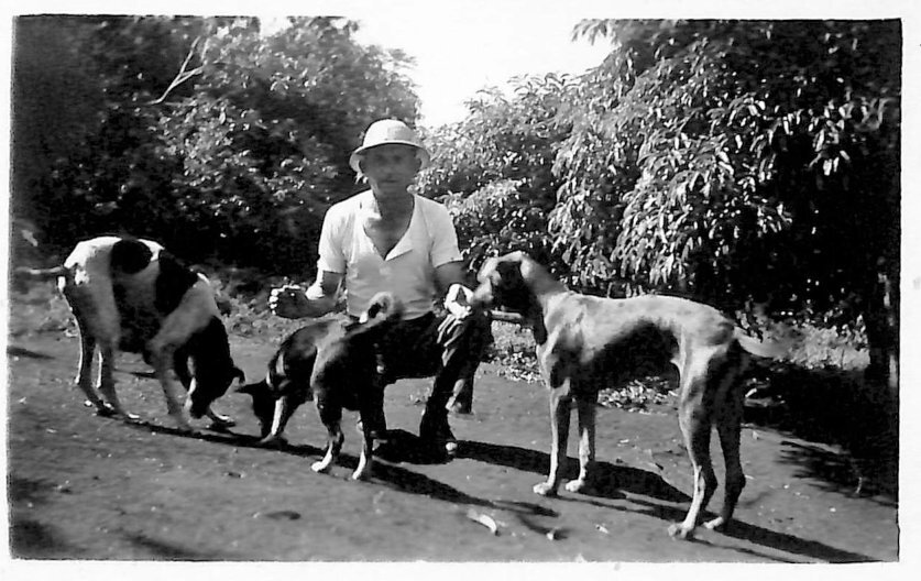 Pioneiro e cachorros em meio ao cafezal - 1945