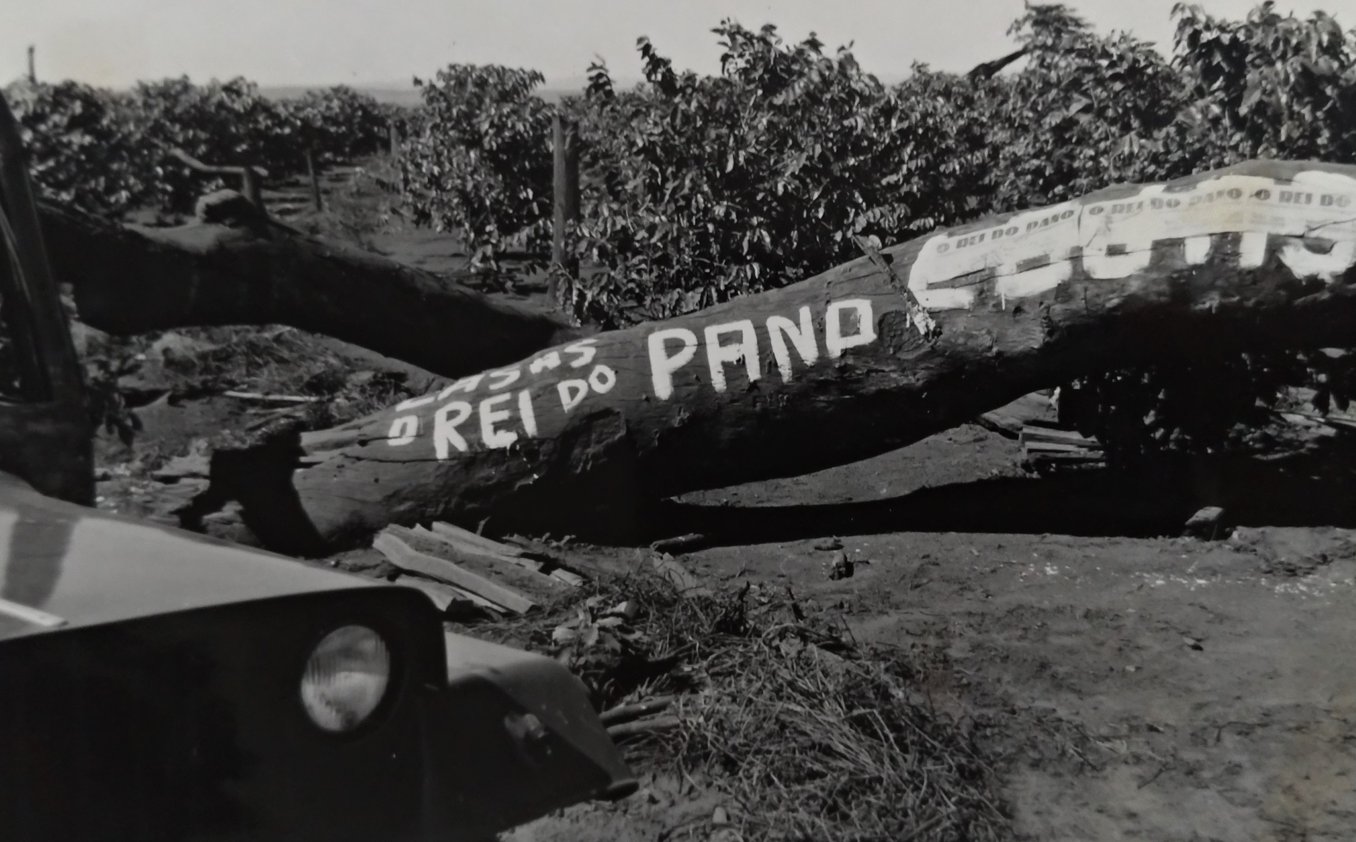 Publicidade inusitada do Rei do Pano - Anos 1950