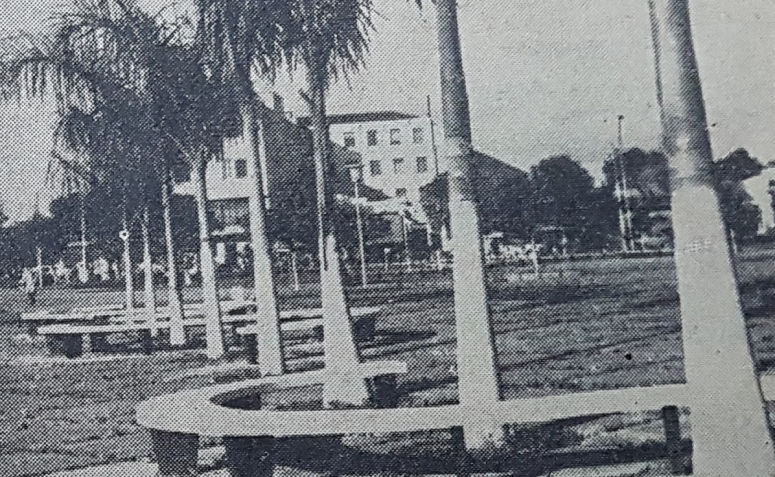 Palmeiras da praça Napoleão Moreira da Silva - 1964