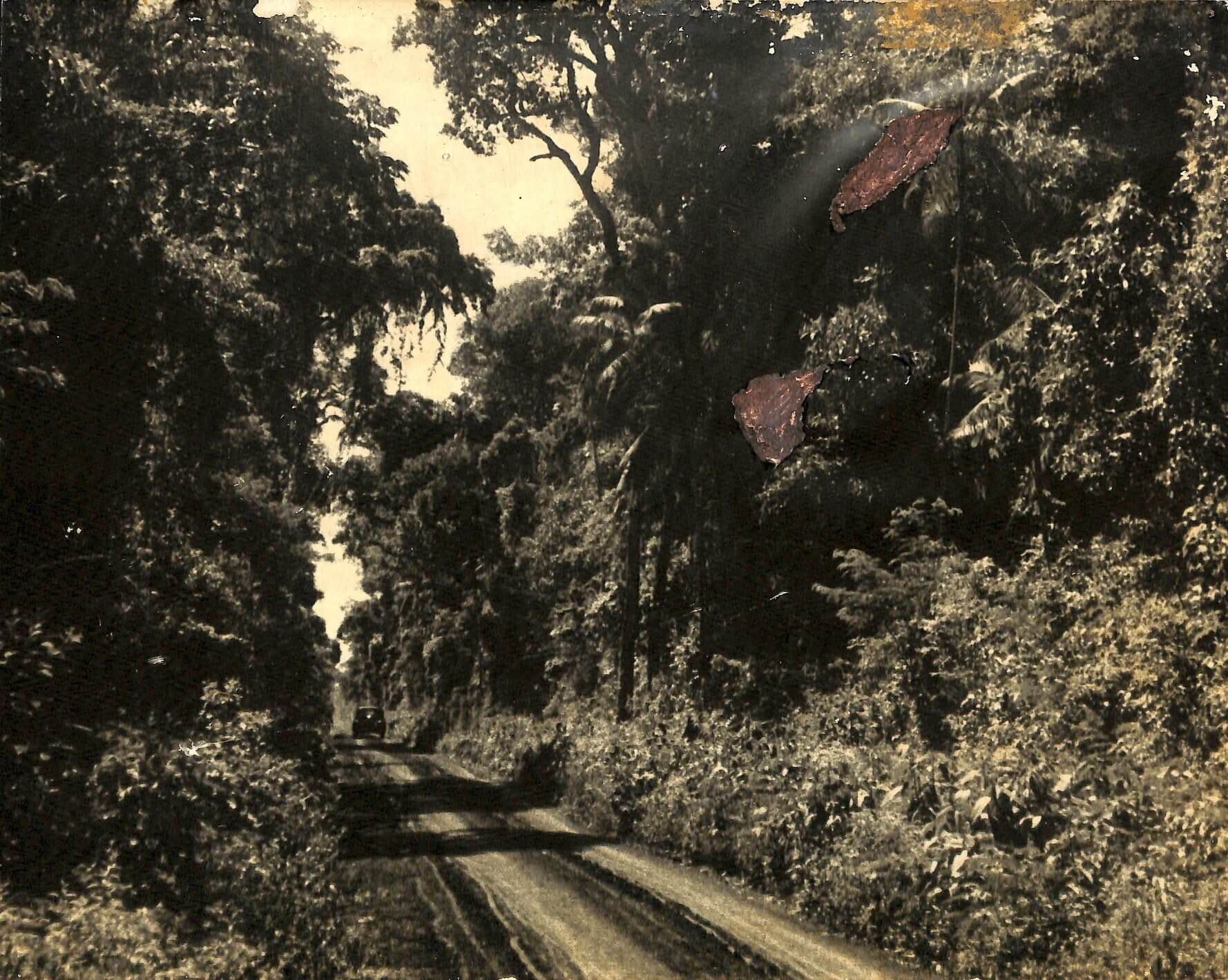 Entrada para Maringá - 1939
