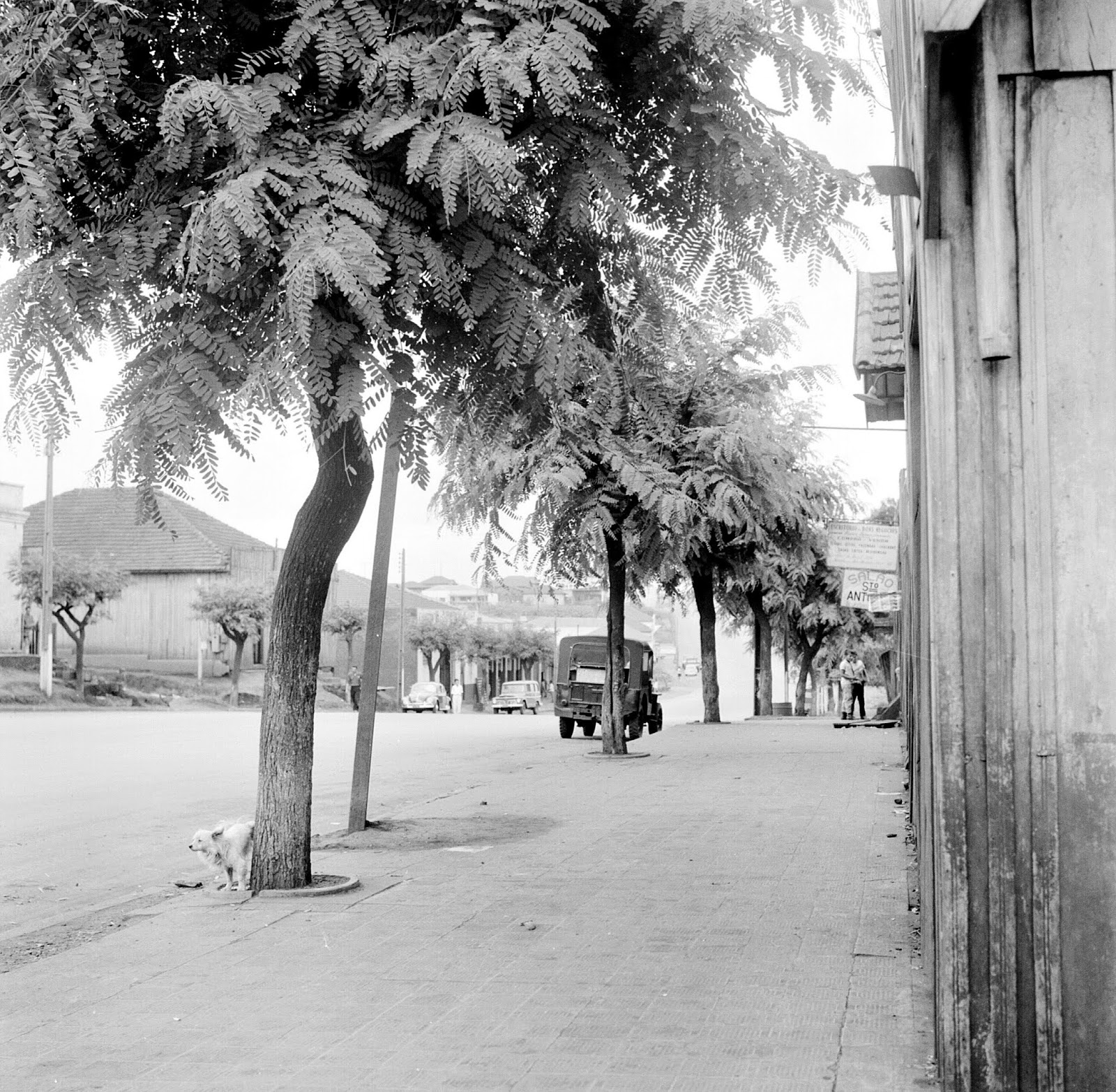 Avenida Brasil no 