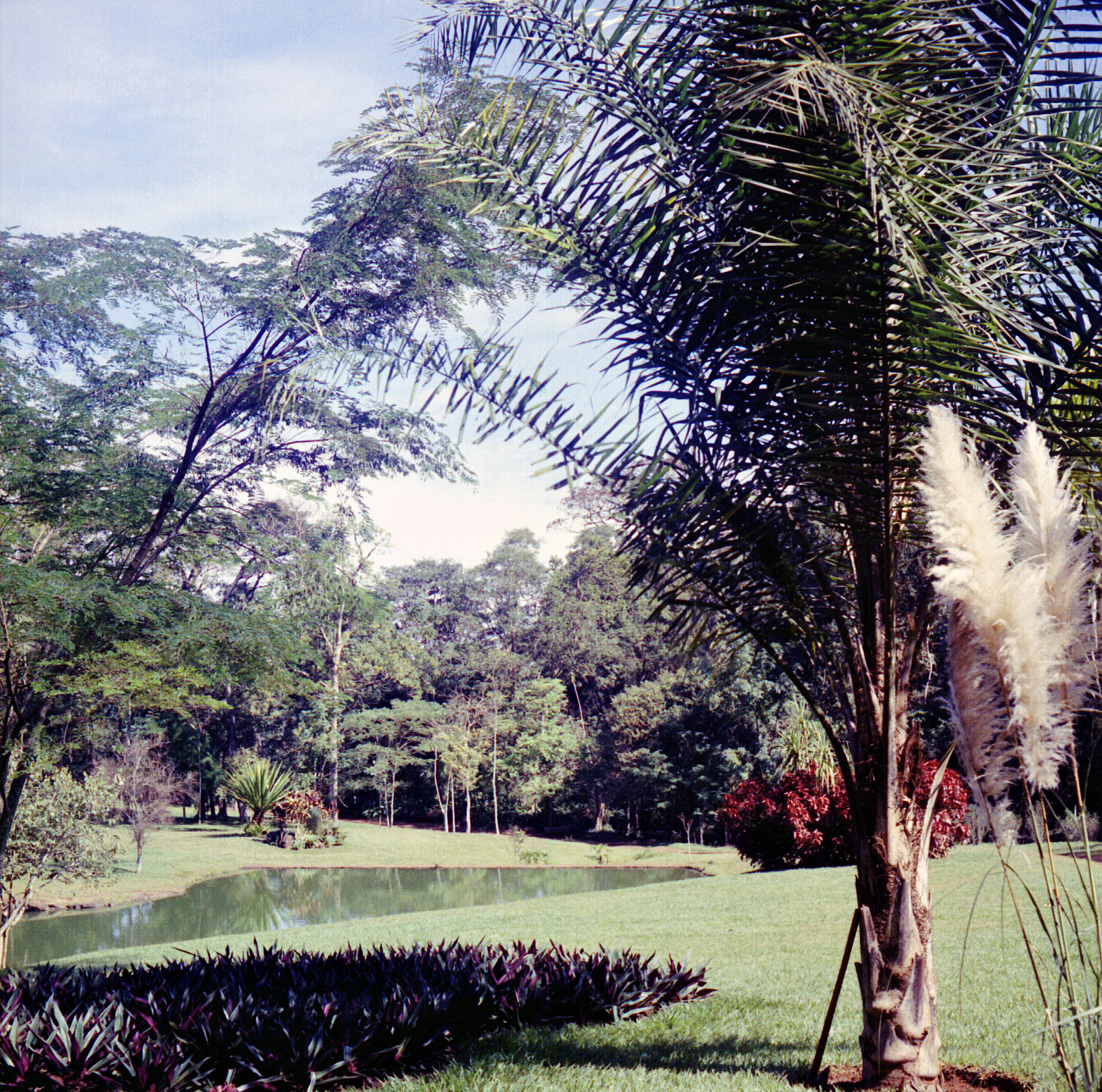 Interior do Horto Florestal - Anos 1970