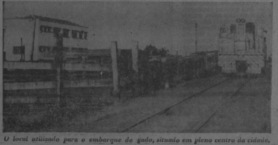 Currais e embarcadouro de bovinos no centro de Maringá