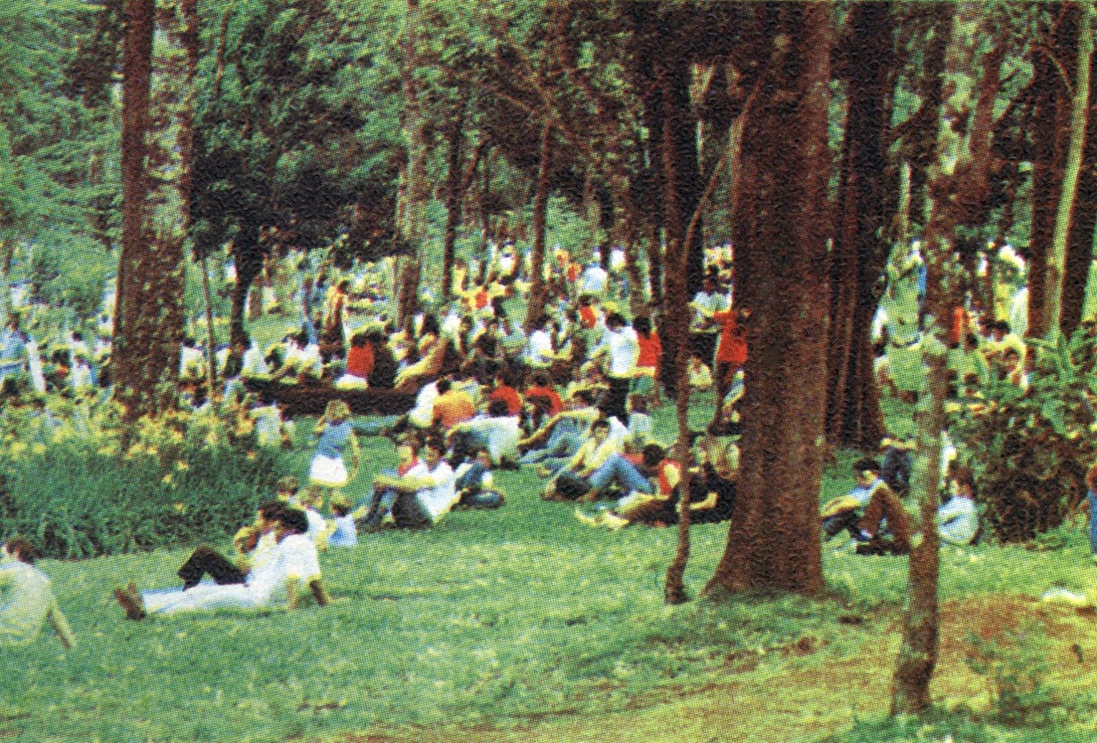 Munícipes no Parque do Ingá - 1980
