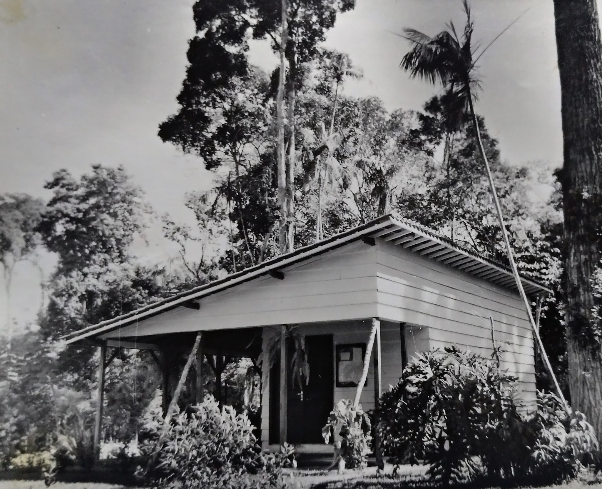 Administração do Horto Florestal - Anos 1950