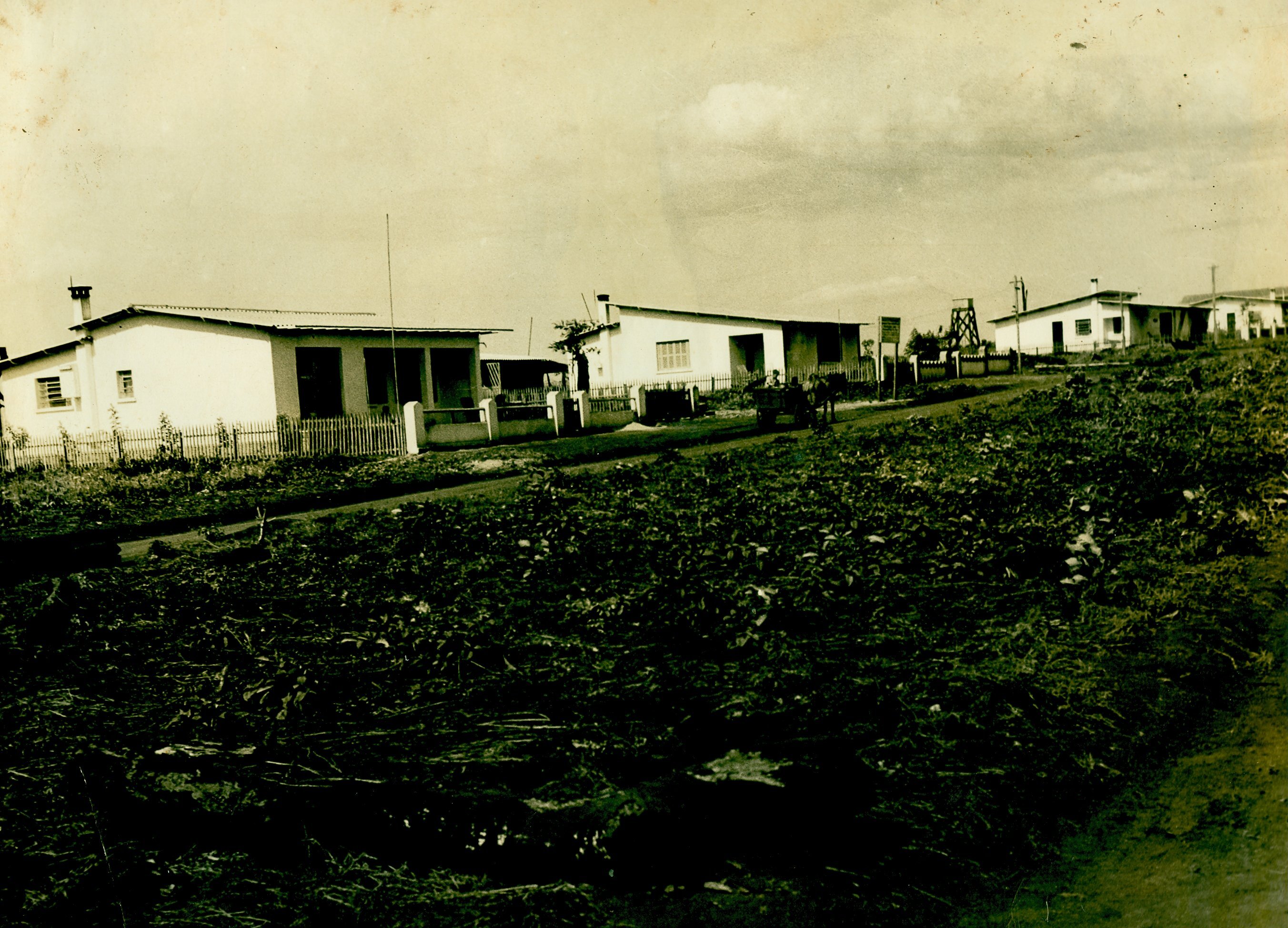 Avenida Tiradentes - 1951