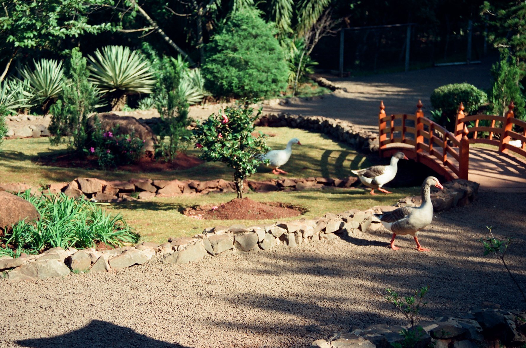 Jardim Japonês - Década de 1990