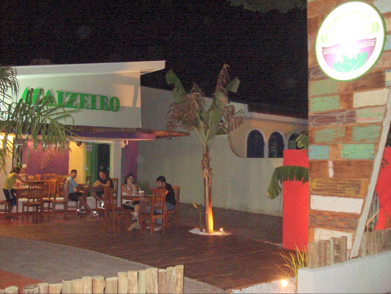 Açaizeiro - 2008