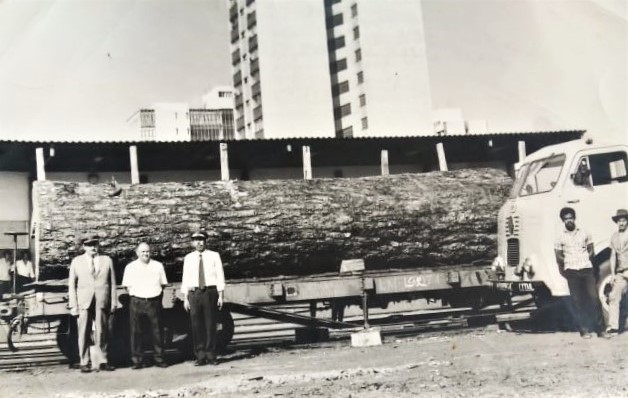 Embarque de tora na Estação Ferroviária - 1971