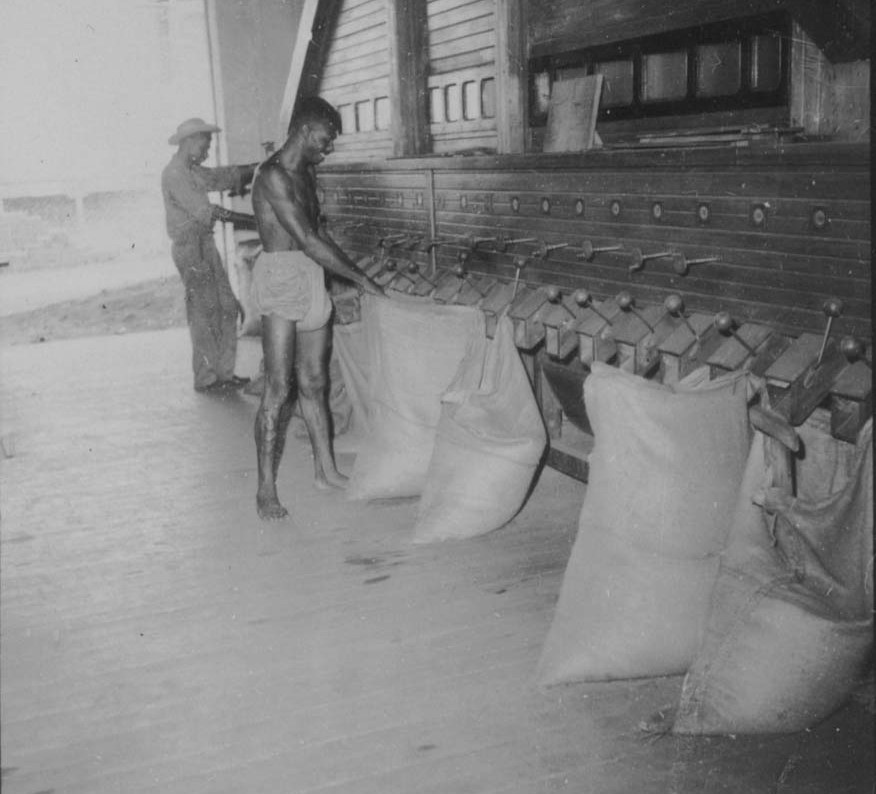 Interior da Cafeeira Santa Luzia - 1960