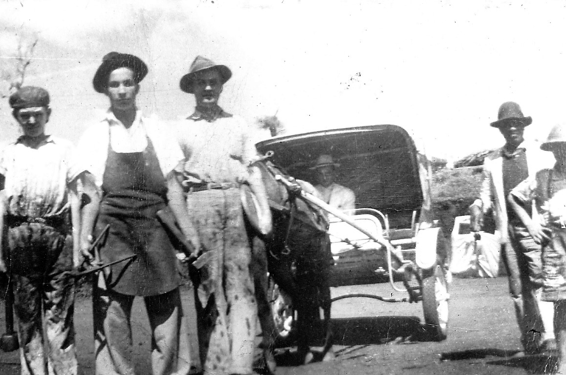 Charrete em 1950