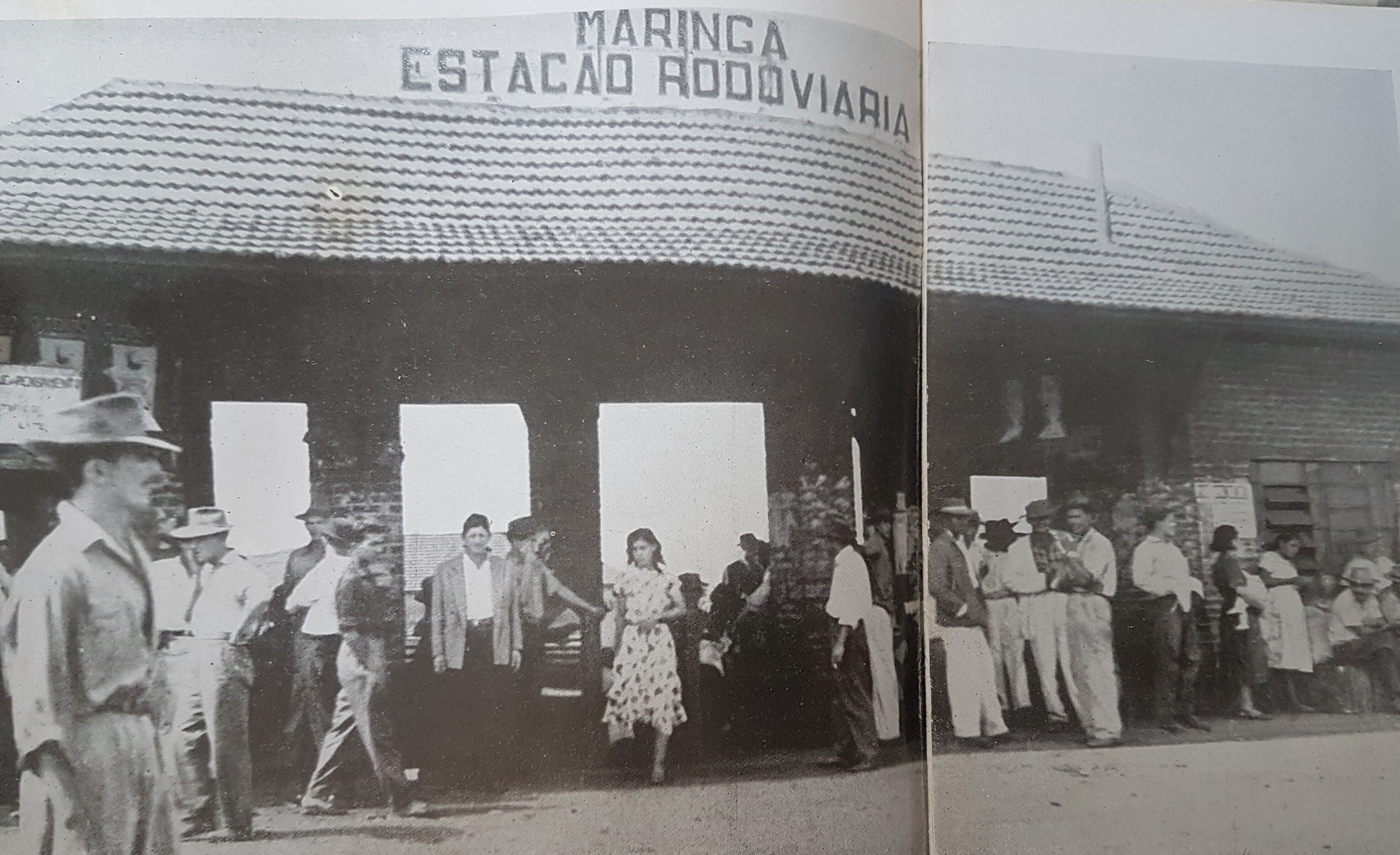 Dados sobre Maringá - 1951