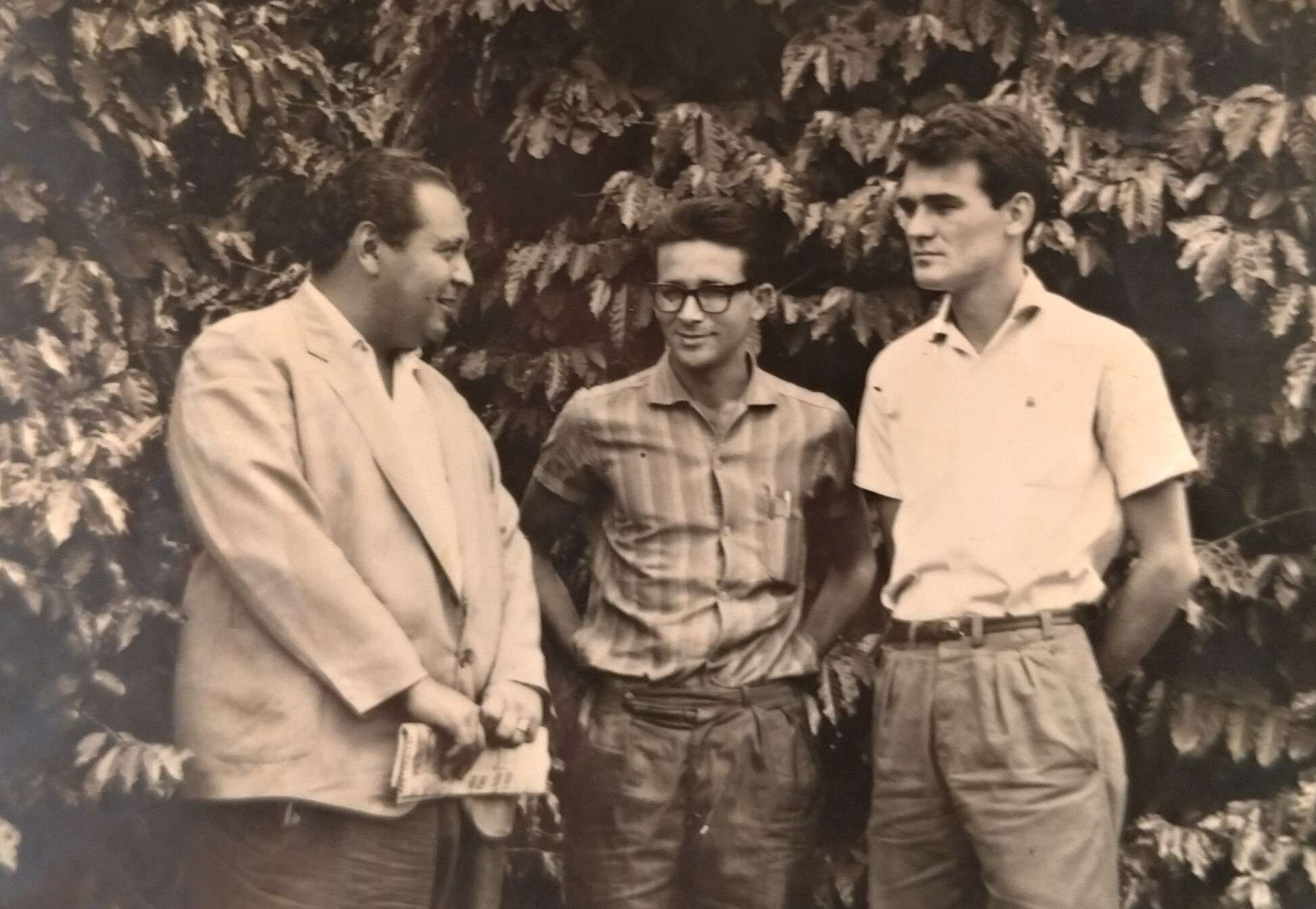 A altura dos pés de café - Anos 1960