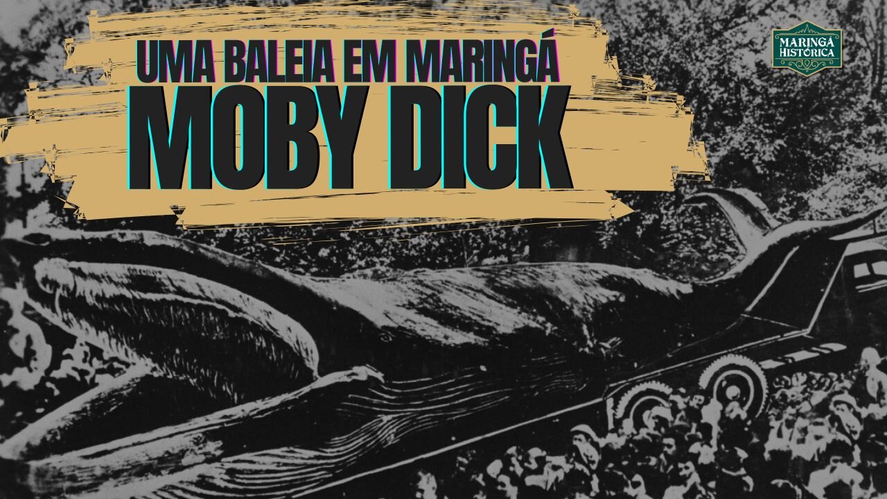 Baleia em Maringá?