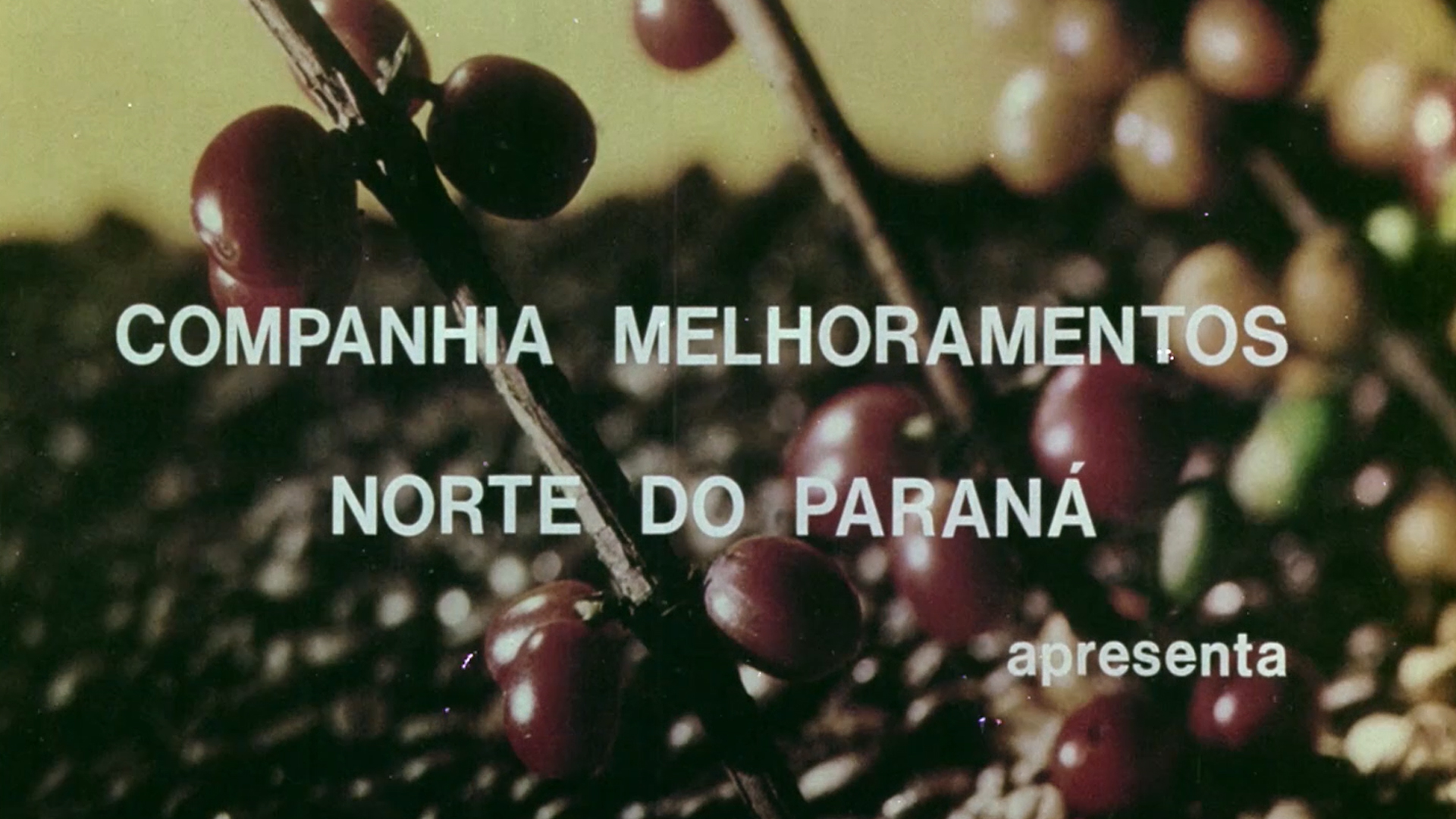 1975: 50 anos da Companhia Melhoramentos Norte do Paraná