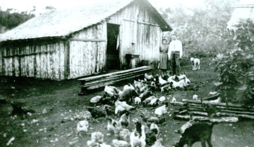 Série: Quem? Onde? - 1942