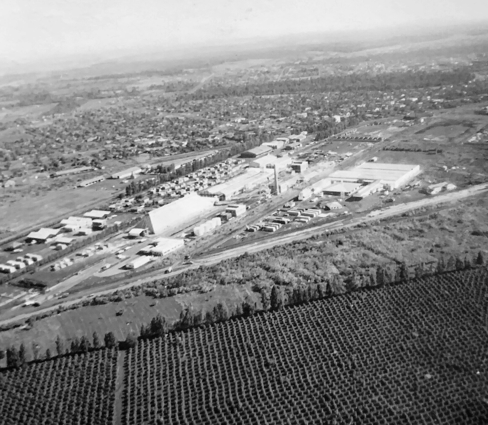 Sanbra e Fazenda Maringá - Anos 1960