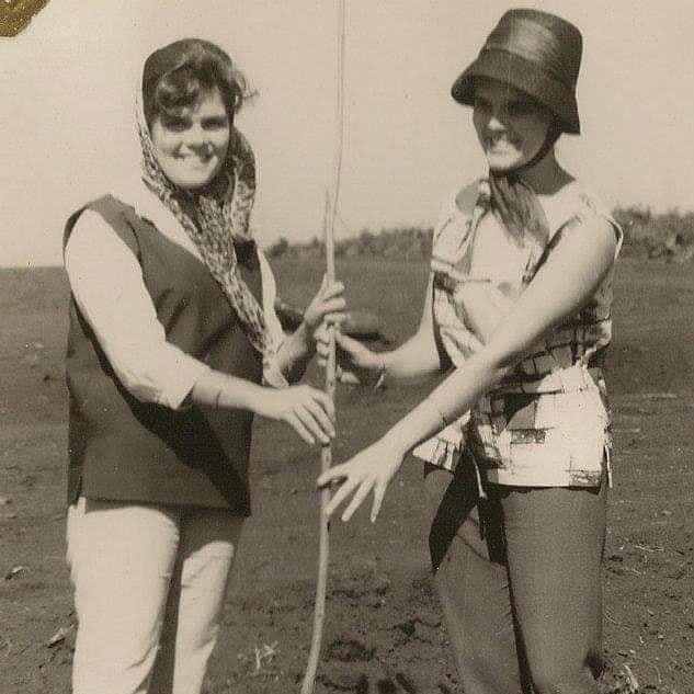 Primeira árvore plantada no Jardim Alvorada - Anos 1960