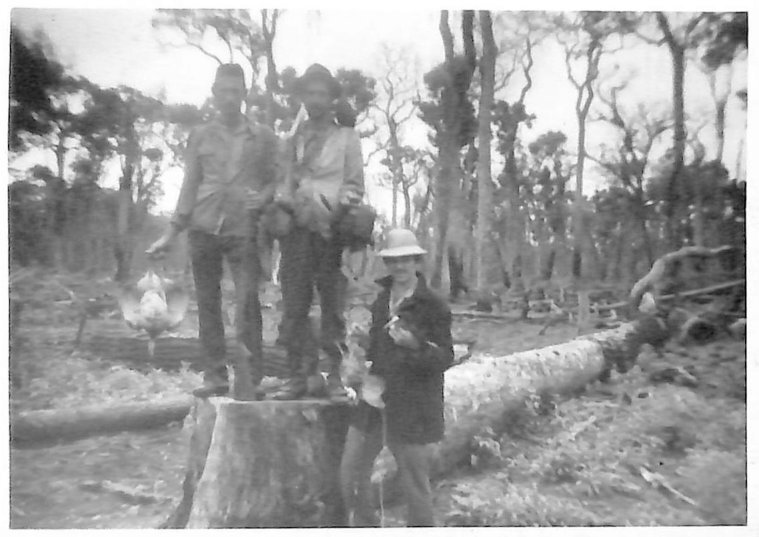 Pioneiros caçadores em meio à mata derrubada - 1945