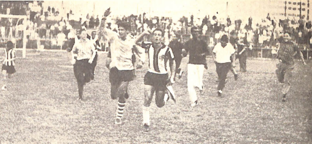 Galo de Maringá, campeão paranaense - 1963