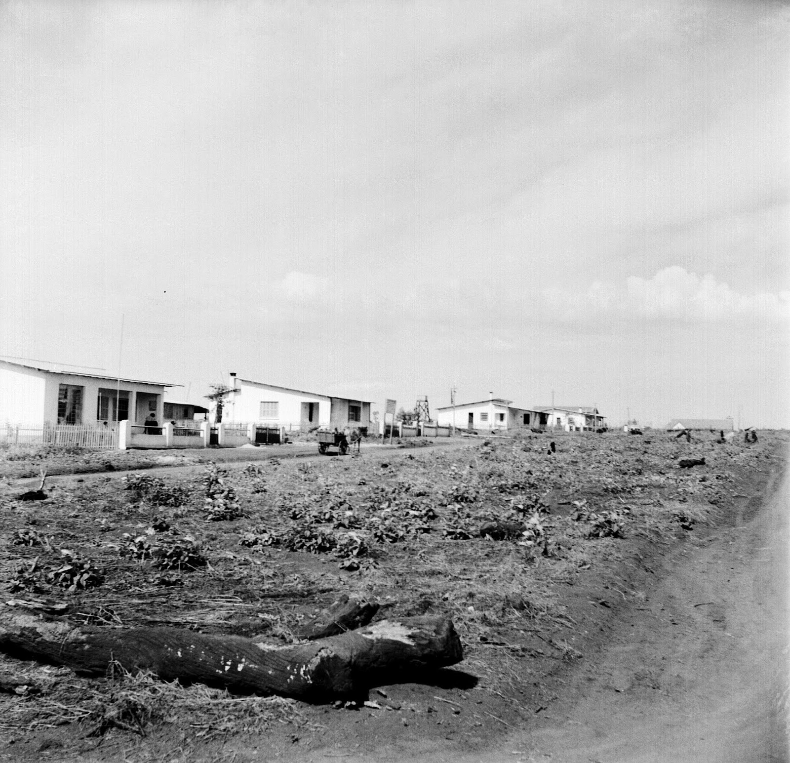 Avenida Tiradentes - 1950