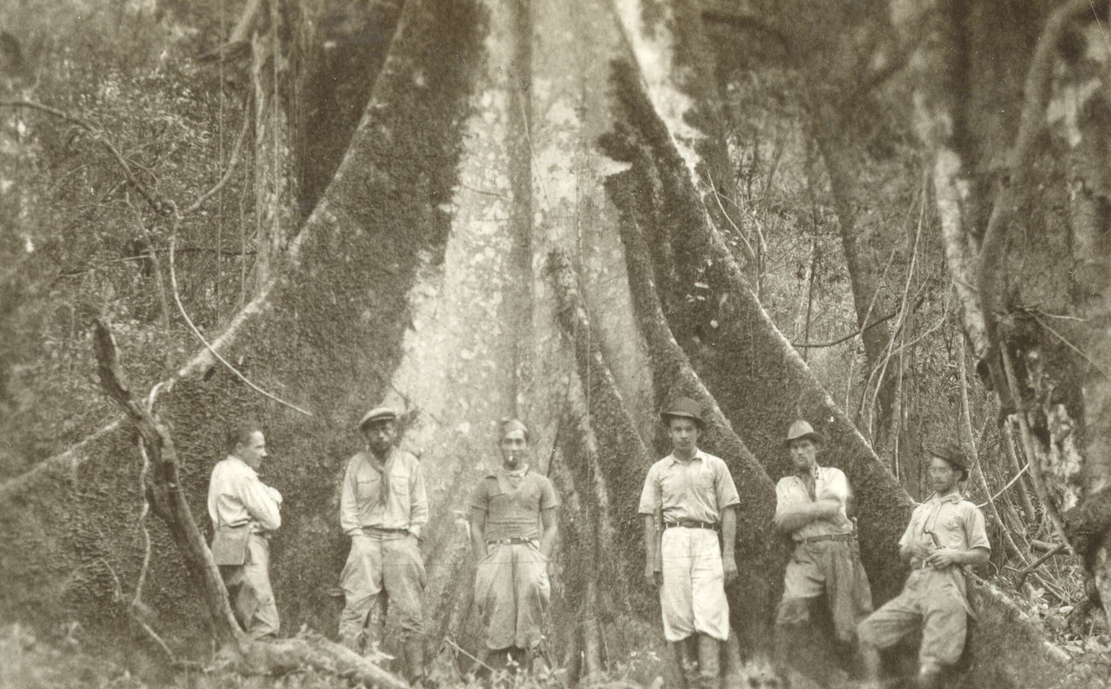 Outro tesouro do Norte do Paraná - Década de 1930