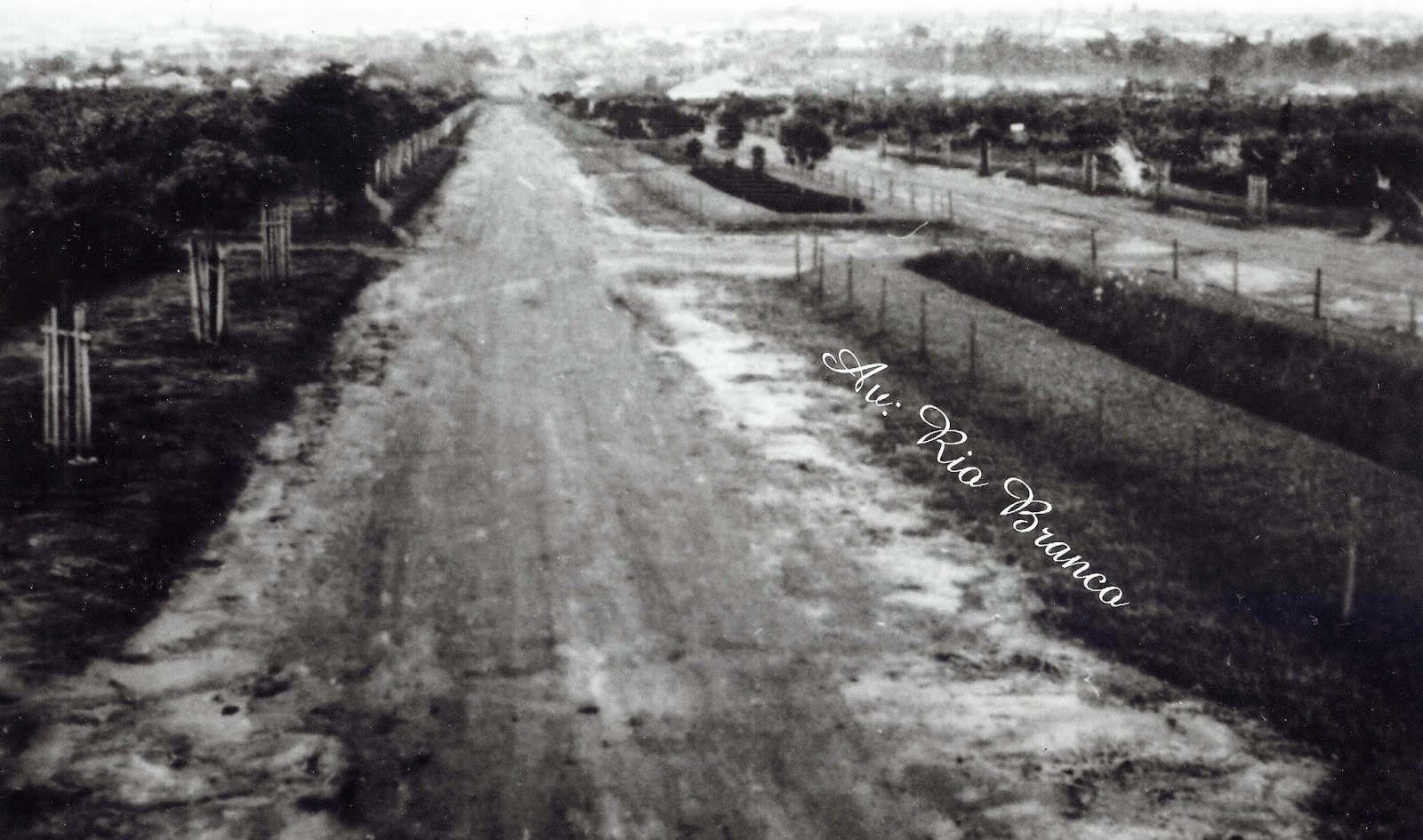 Avenida Rio Branco - Década de 1950