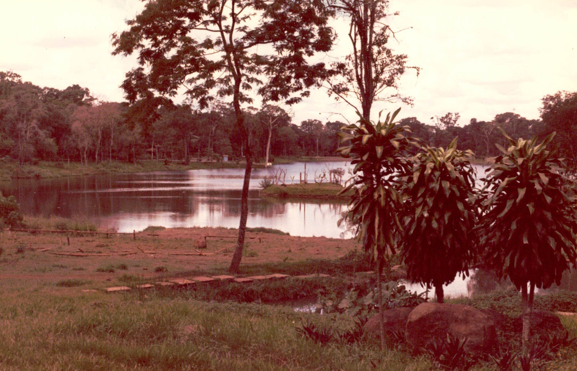 O que havia antes do Jardim Japonês? - Década de 1970