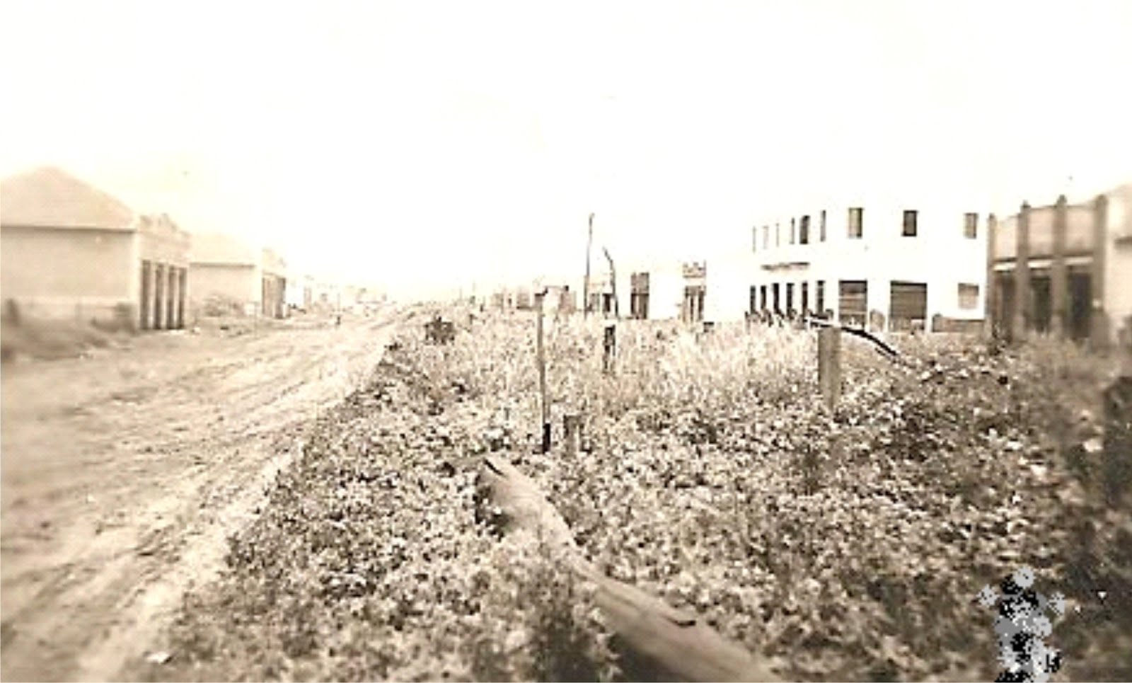 Avenida Brasil - Década de 1950