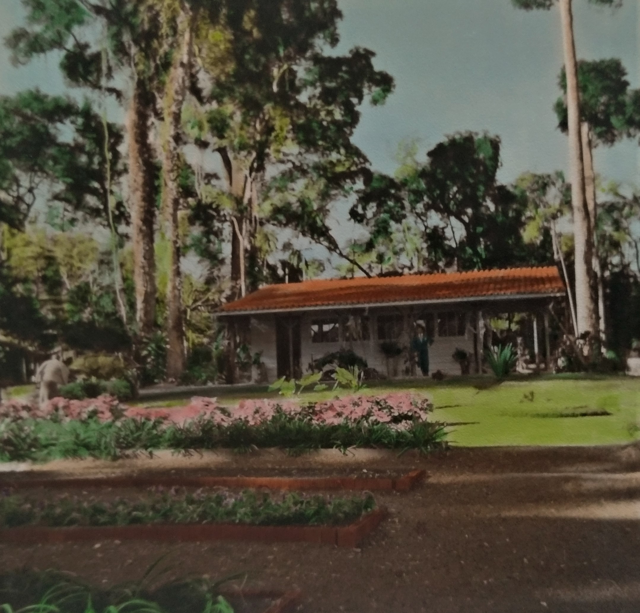 Joubert de Carvalho no Horto Florestal - 1959