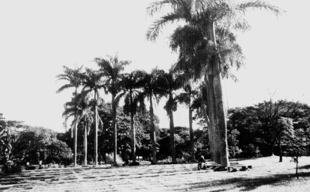 Praça Napoleão Moreira da Silva - Década de 1980