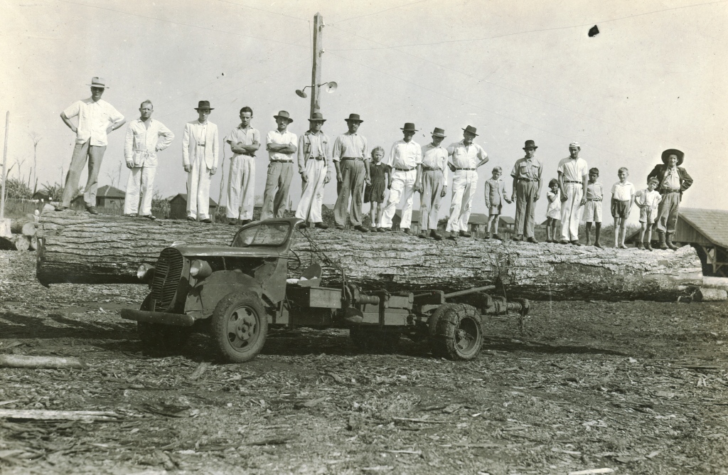 Funcionários - Serraria Brenner - Década de 1950