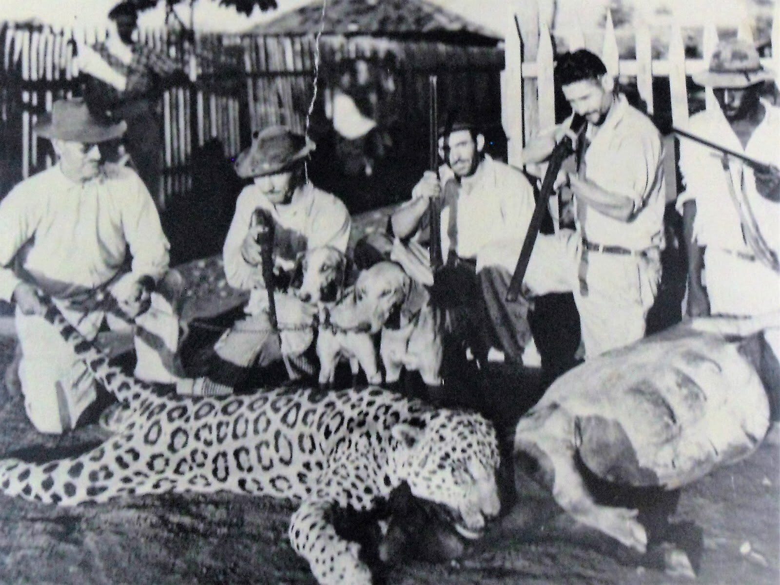 Caçada de onça e de anta - Anos 1940